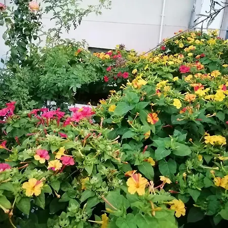 Casa Do Pedro - Lisbon South Bay