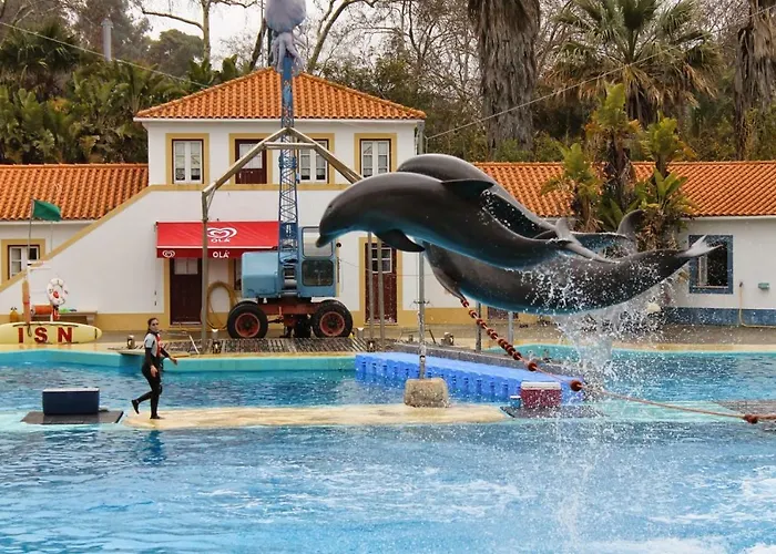 Casa Do Pedro - Lisbon South Bay Daire Almada